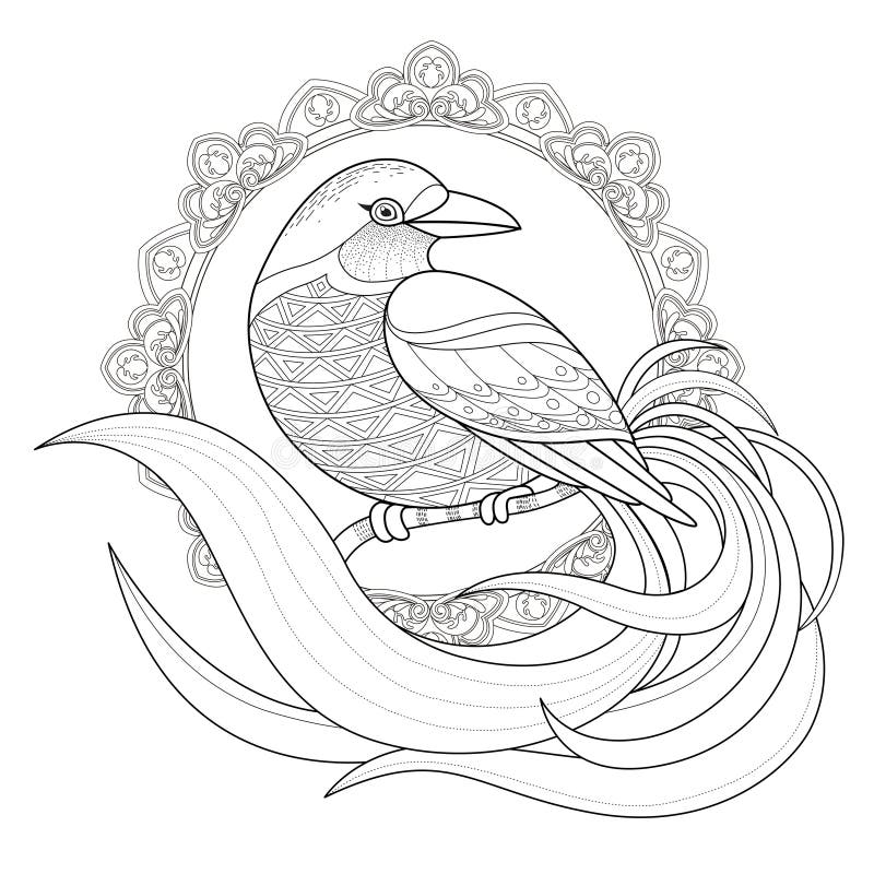 Graceful bird coloring page royalty free illustration Graceful bird coloring page royalty free illustration