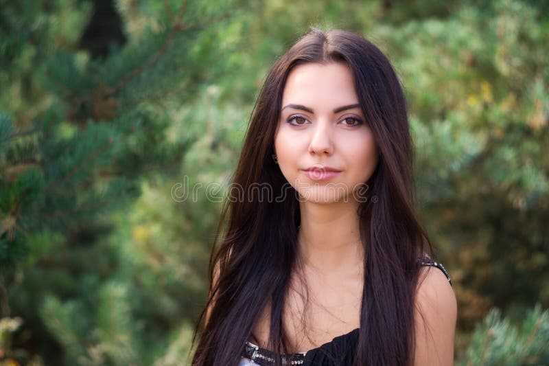 Graceful Charming Brunette Model Posing in Black Dress in Coniferous ...