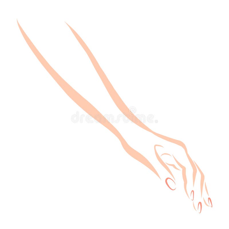Graceful Female Hand With Pink Nails Sketch Stock Illustration Illustration Of Gesture Color Graceful Female Hand With Pink Nails Sketch Stock Illustration Illustration Of Gesture Color