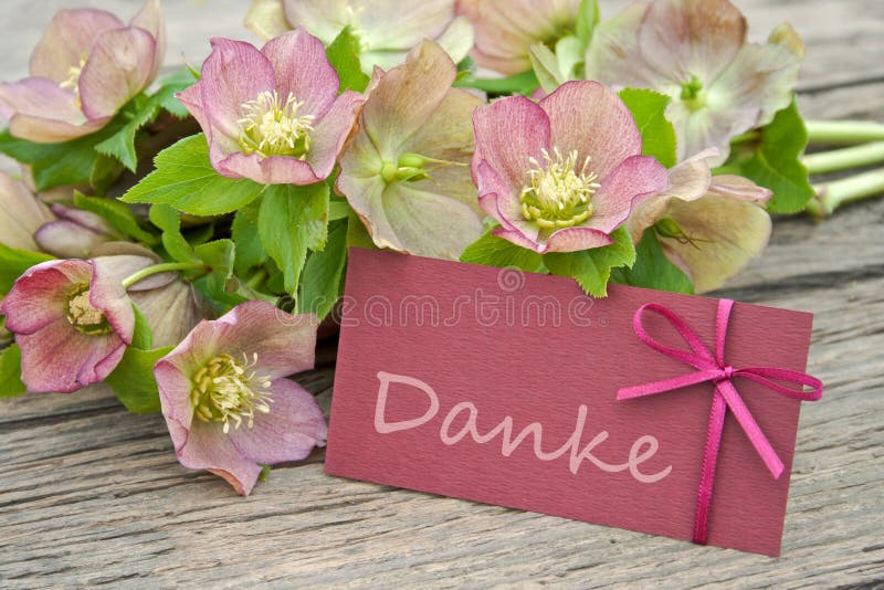 Pink flowers and card with lettering thanks. Pink flowers and card with lettering thanks