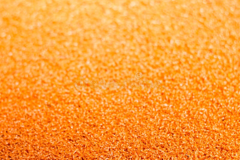 Gradient Orange Color with White Color Stock Image Image of graphic