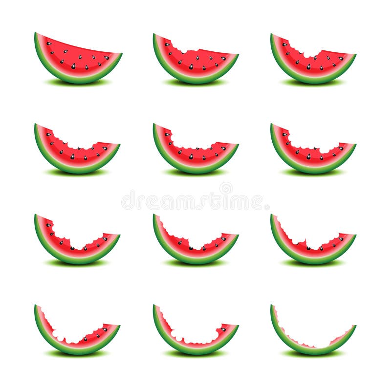 Gradually eating of watermelon slice