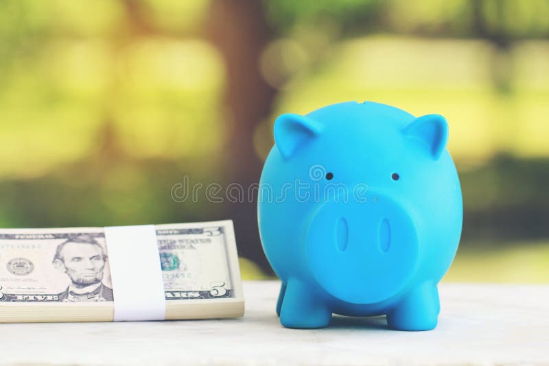 Graduation hat on blue piggy bank with stack of coins money and banknote on natural green background, Saving money for education