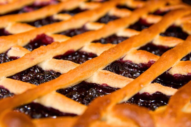 Grafico a torta di mirtillo fresco immagini stock libere da diritti