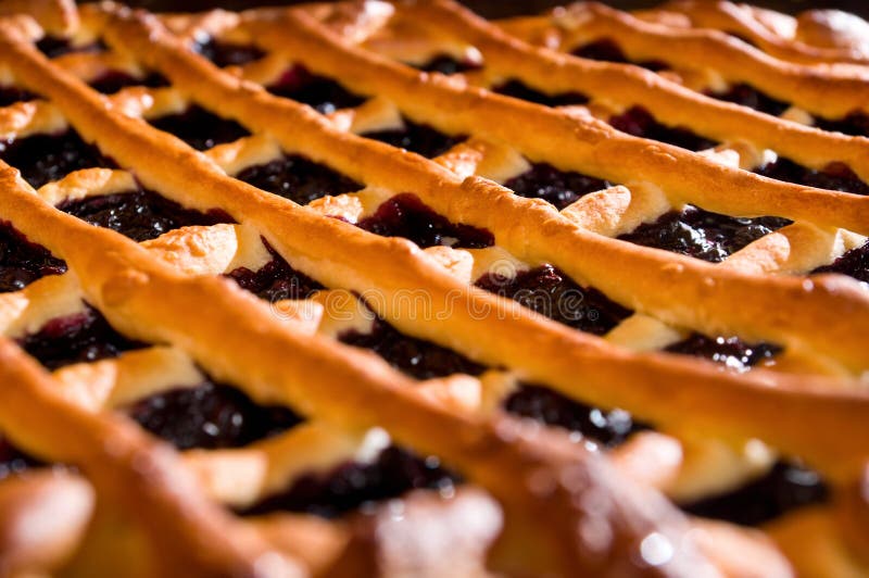 Grafico a torta di mirtillo fresco immagine stock