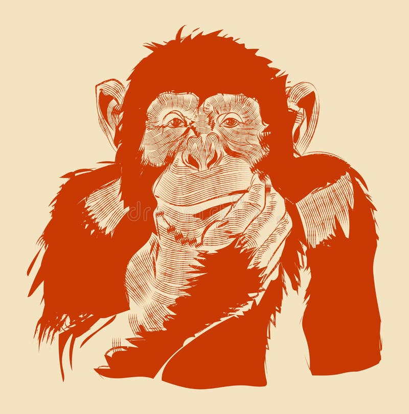 Graficzny wizerunek małpa Wektor EPS 10 ilustracja wektor