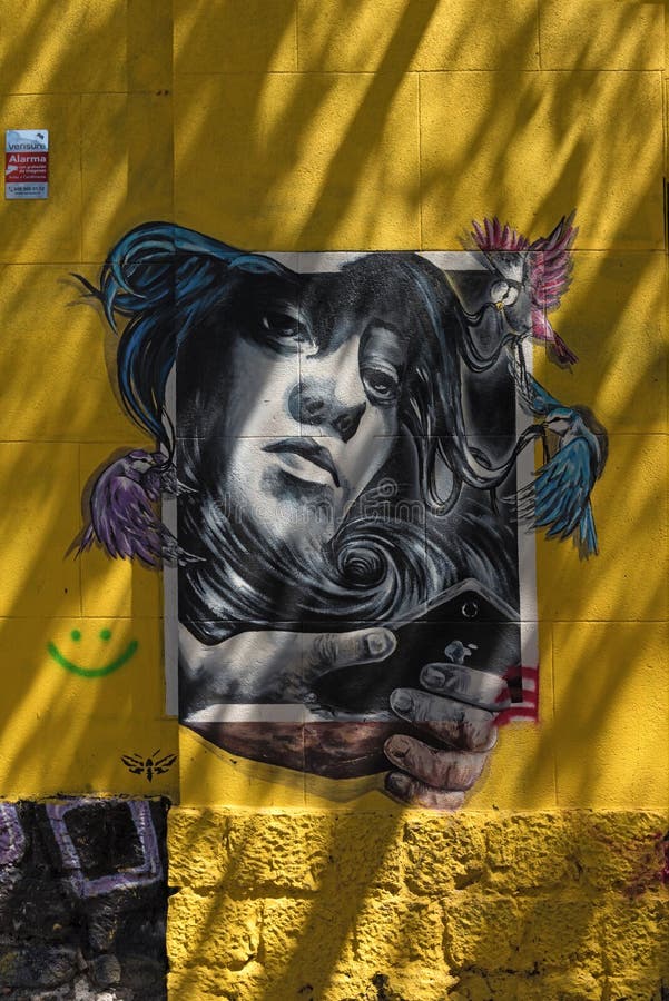 Grafite Mural De Arte De Rua Na Capital Do Chile Santiago Foto de Stock