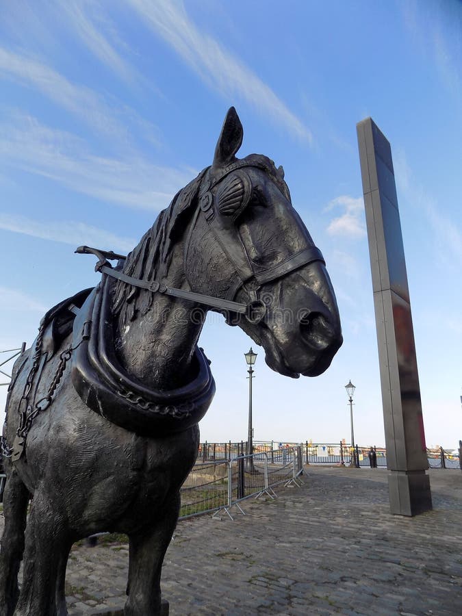 Carters working shirred horse sculpture by Judy Boyd stands at the Albert Dock at the Liverpool waterfront. It is called Waiting. Carters working shirred horse sculpture by Judy Boyd stands at the Albert Dock at the Liverpool waterfront. It is called Waiting