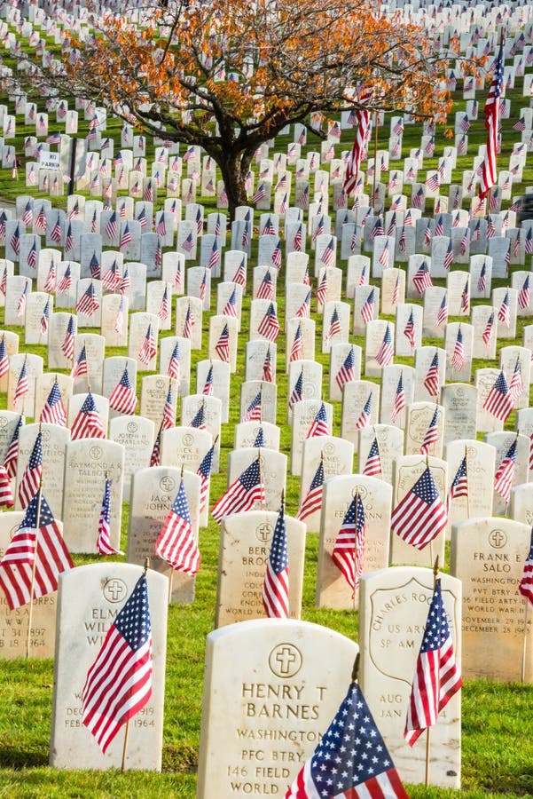 Grafstenen met Amerikaanse Vlaggen in de Begraafplaats van Oorlogsveteranen stock fotografie Grafstenen met Amerikaanse Vlaggen in de Begraafplaats van Oorlogsveteranen stock fotografie