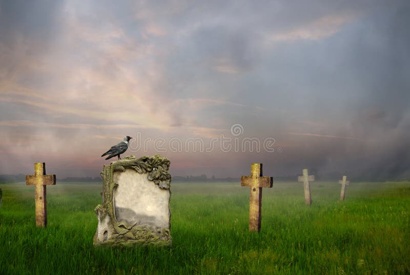 Crow sitting on a gravestone at sunrise. Crow sitting on a gravestone at sunrise