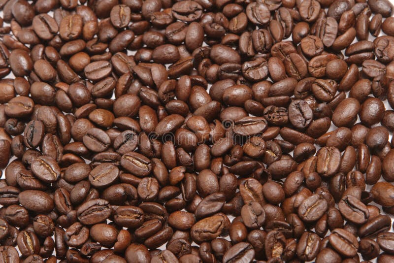 Grain coffee stock images Grain coffee stock images