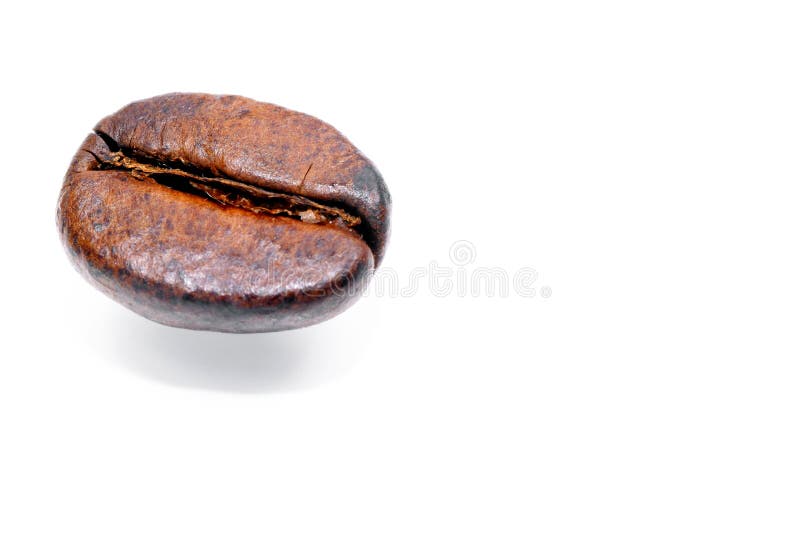 One grain of black coffee on a white background. One grain of black coffee on a white background.