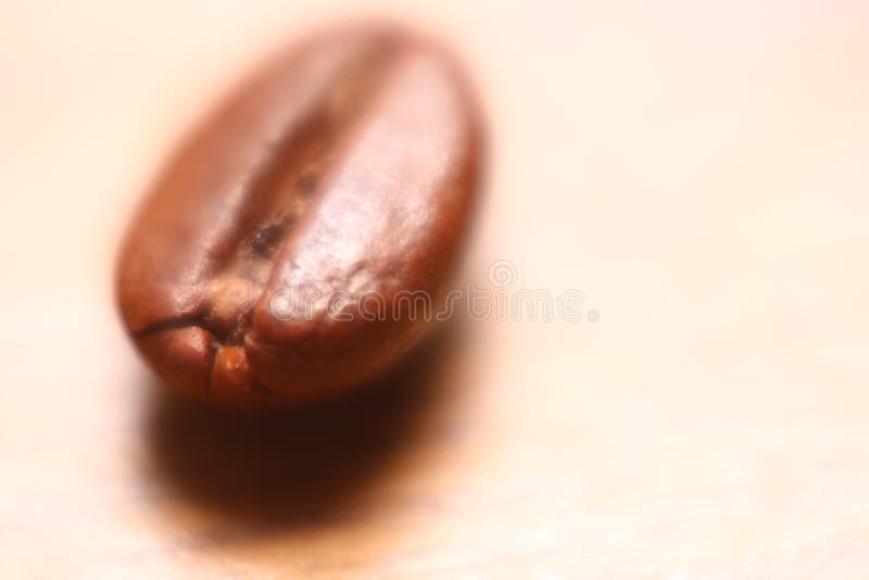 Grain de café simple avec le rapport optique élevé et l'effet de foyer doux créant une humeur idyllique photo libre de droits Grain de café simple avec le rapport optique élevé et l'effet de foyer doux créant une humeur idyllique photo libre de droits