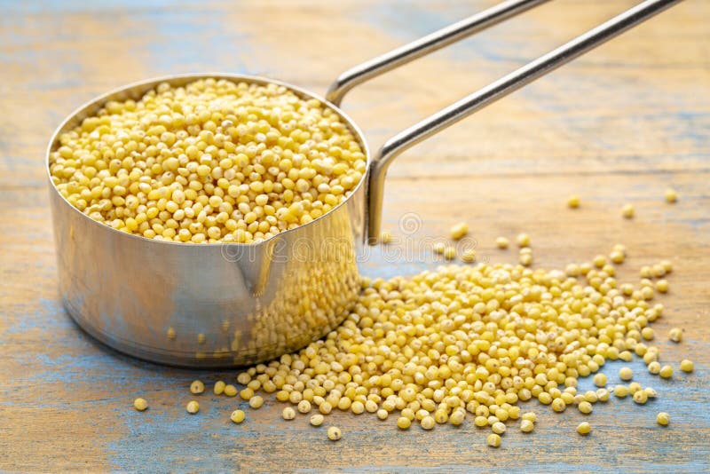 Grain De Millet Dans Un Scoop De Mesure Image stock Image du flaque