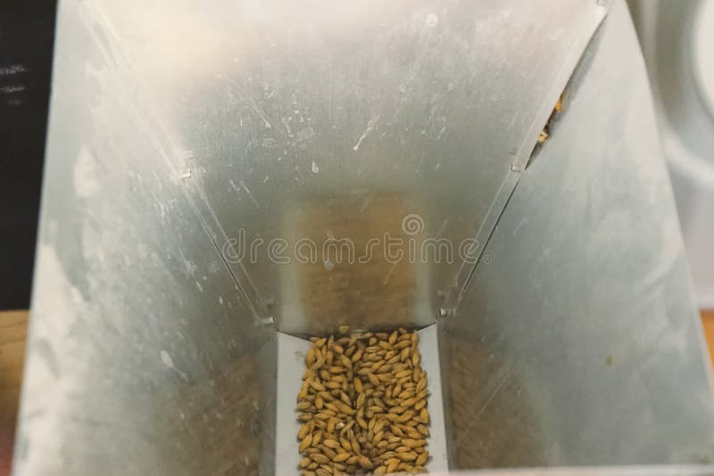 Grain Mill, Barley Grinding in Mill Grain Mill Stock Photo Image of