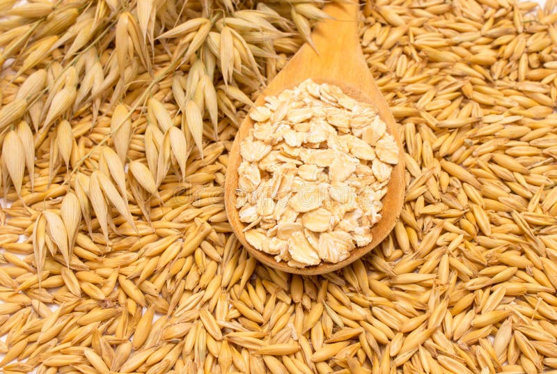 Grain oats and oatmeal stock photo. Image of green, natural 57022444