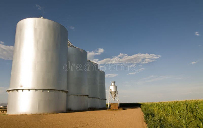 Grain Silo on Farm in Gilbrt,AZ Stock Photo Image of heavy, metal 5648322