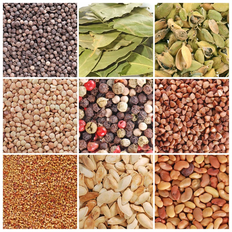 Grain and spices