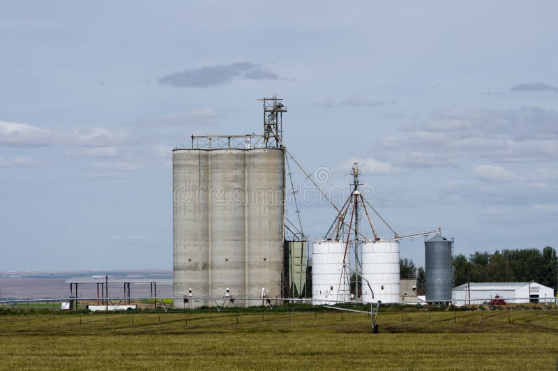 Concrete Grain Silos with Cell Phone Tower Stock Image Image of maize
