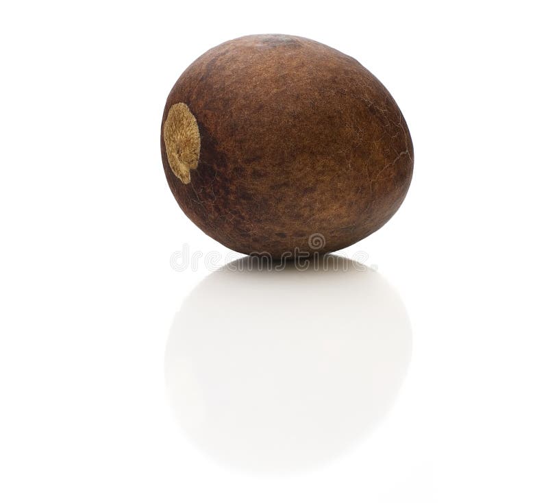 Graine d'avocat image stock. Image du edibles, avocat 18199369