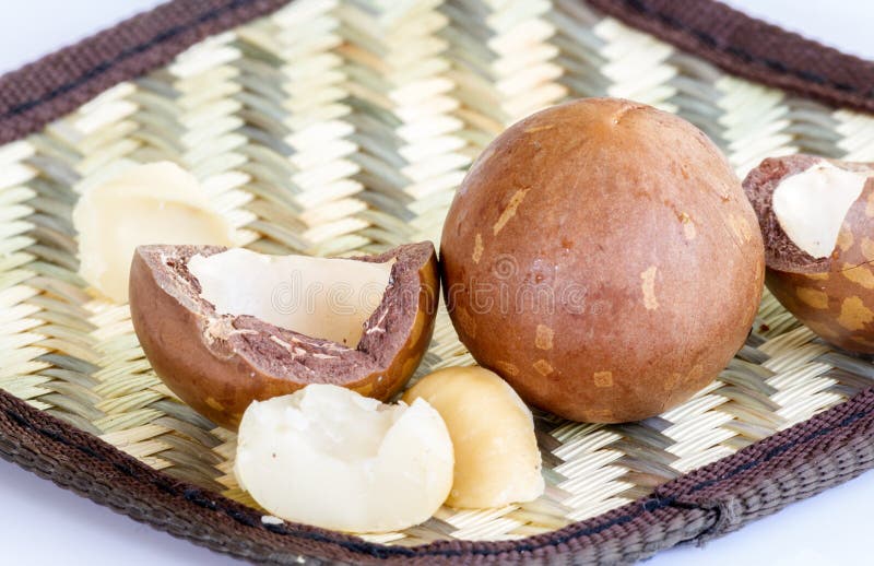 Graine D'avocat Sur Le Fond Blanc Photo stock Image du entier