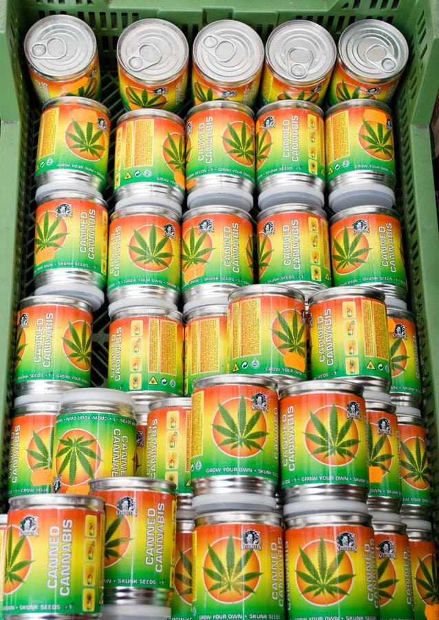 Graines de cannabis photo éditorial. Image du étain, lames 19728886