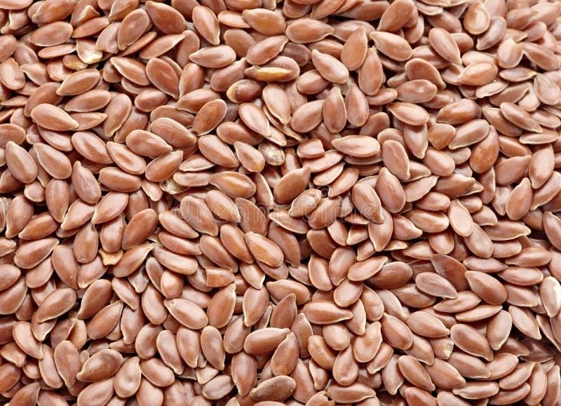 Close up of flax seeds. Close up of flax seeds