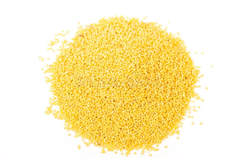 Graines de millet photo stock. Image du isolement 53457966