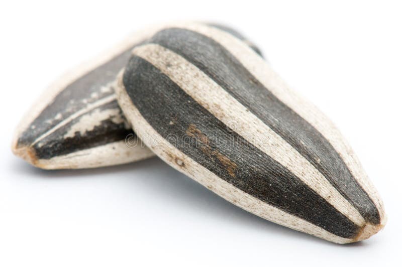 Graines de tournesol images stock