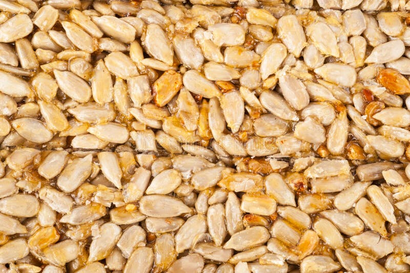 Graines de tournesol pressées glacées en sirop doux, kozinaki images stock Graines de tournesol pressées glacées en sirop doux, kozinaki images stock