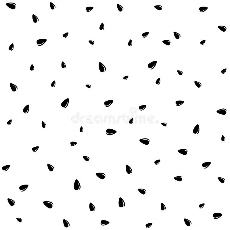 Graines noires de tournesol sur le fond sans couture blanc de modèle illustration de vecteur Graines noires de tournesol sur le fond sans couture blanc de modèle illustration de vecteur