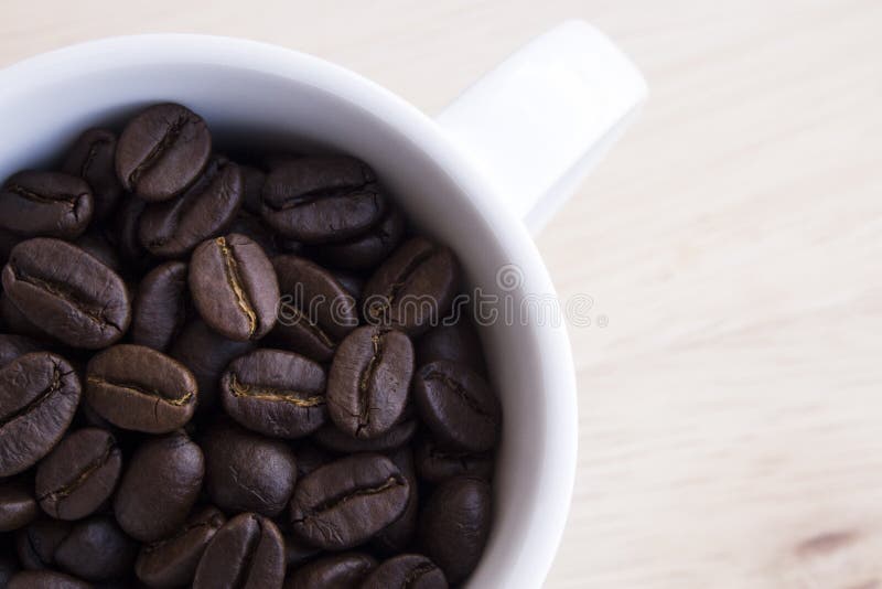 Grains de café photos stock Grains de café photos stock