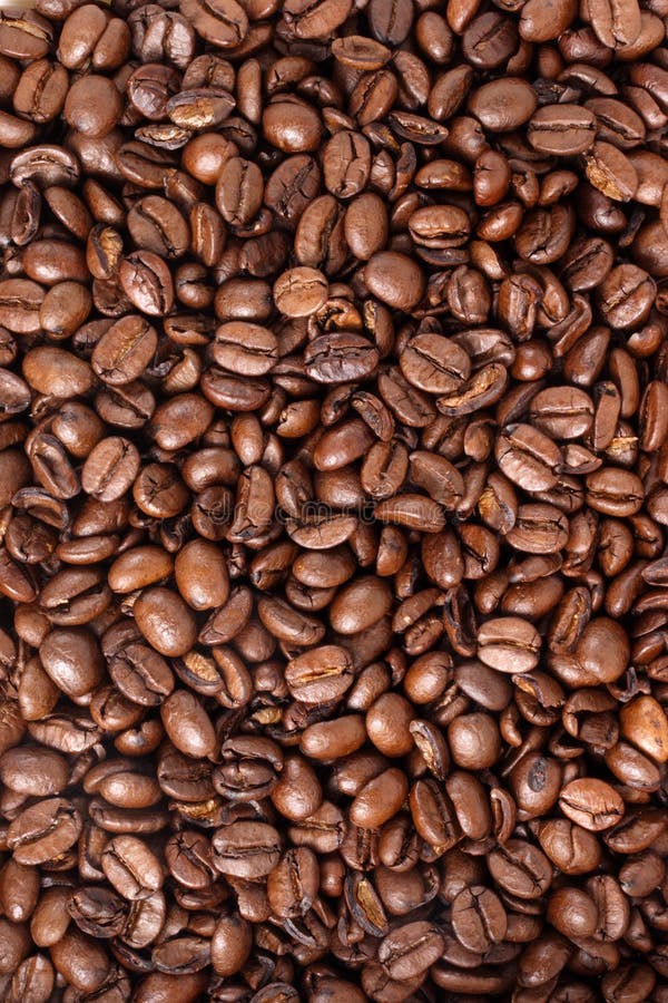 Photo of Coffee beans - Medium. Photo of Coffee beans - Medium