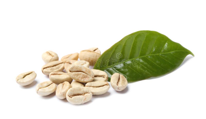 Grains de café verts et feuille fraîche image stock Grains de café verts et feuille fraîche image stock