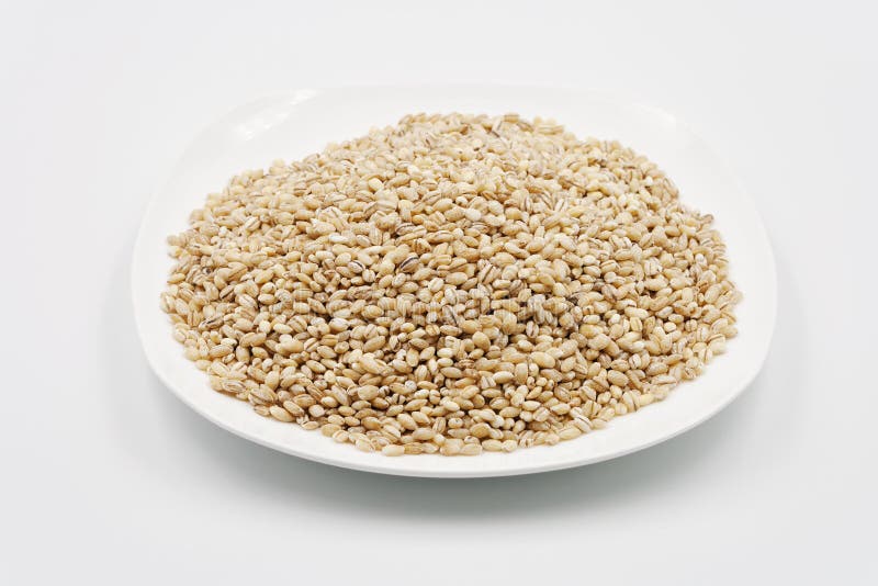 Grains of pearl barley. stock photo. Image of wheat 112172430