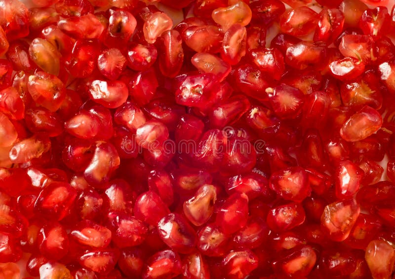 Grains of Pomegranate