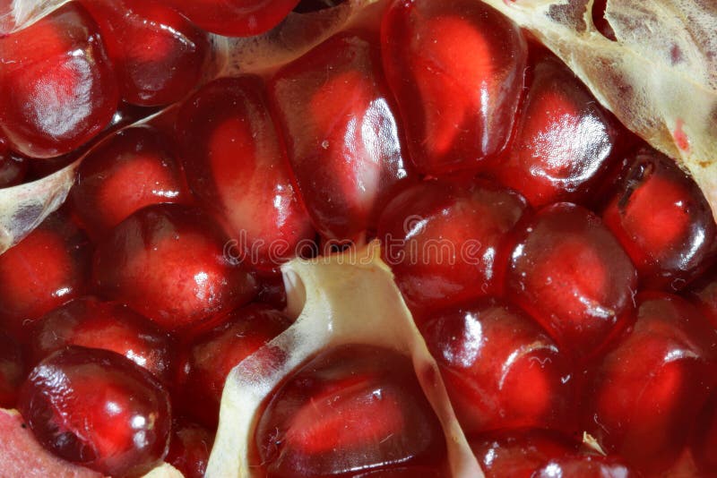 Grains of pomegranate macro