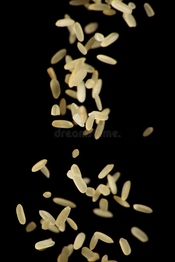 Grains of raw rice falling isolated