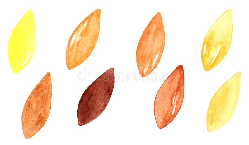 Watercolor Set with Grains of Wheat and Rye. Cereal Seeds In Yellow And Brown Colors. Watercolor Set with Grains of Wheat and Rye. Cereal Seeds In Yellow And Brown Colors