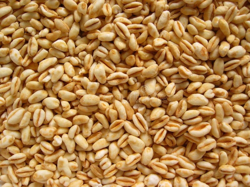 Grains of wheat royalty free stock photos