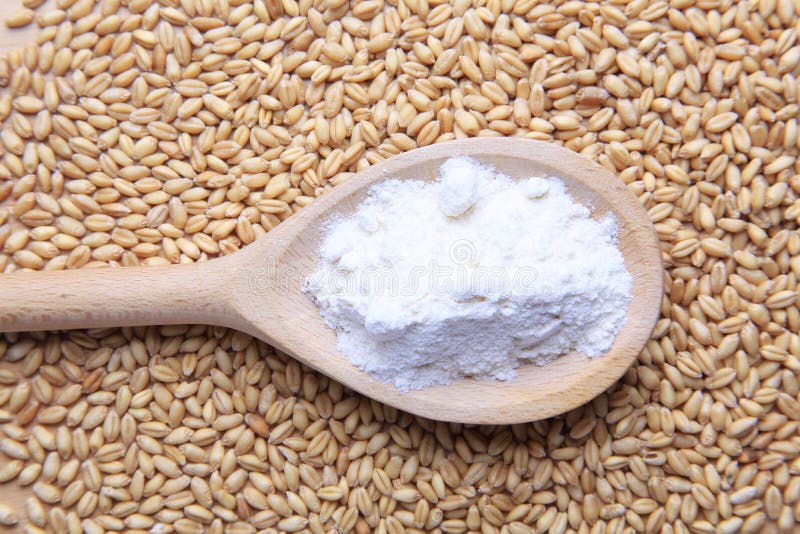 Grains of wheat and flour stock photo Grains of wheat and flour stock photo