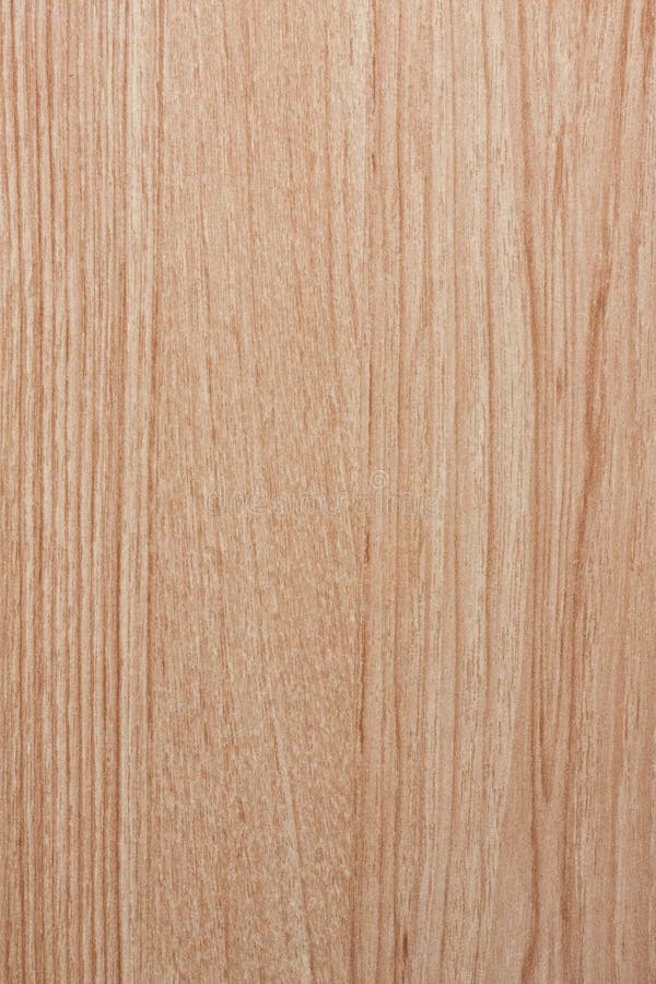 White Stained Wood Texture stock image. Image of pine 4432801