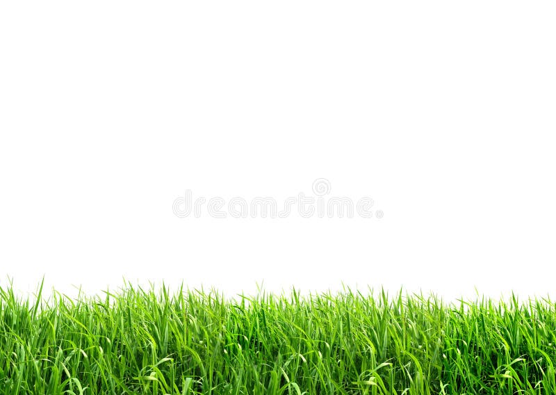 Grama imagem de stock