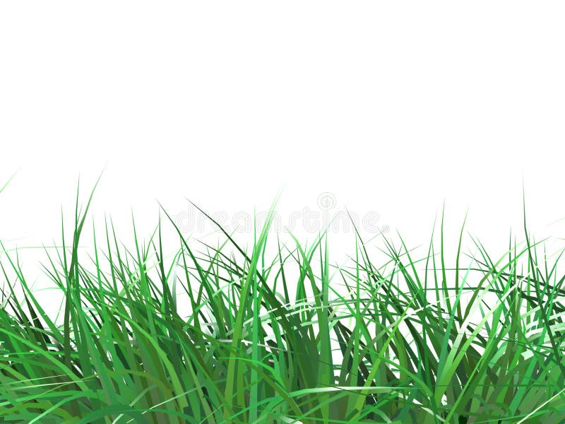 Grama fotografia de stock royalty free