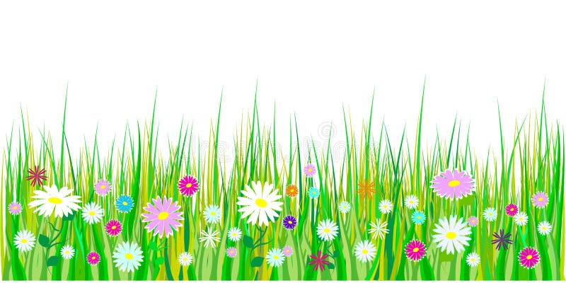 Grama da mola e beiras das flores A decoração da Páscoa com grama e prado da mola floresce Isolado no fundo branco Vetor