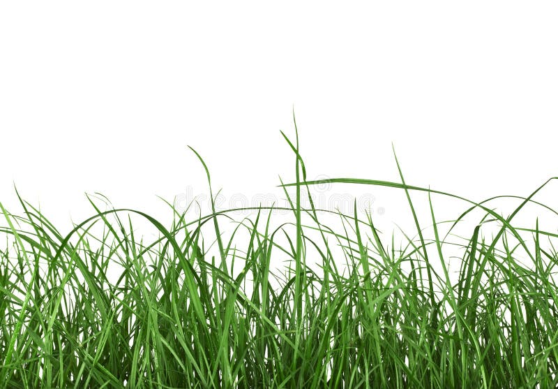 Relva Verde fotos de stock royalty free