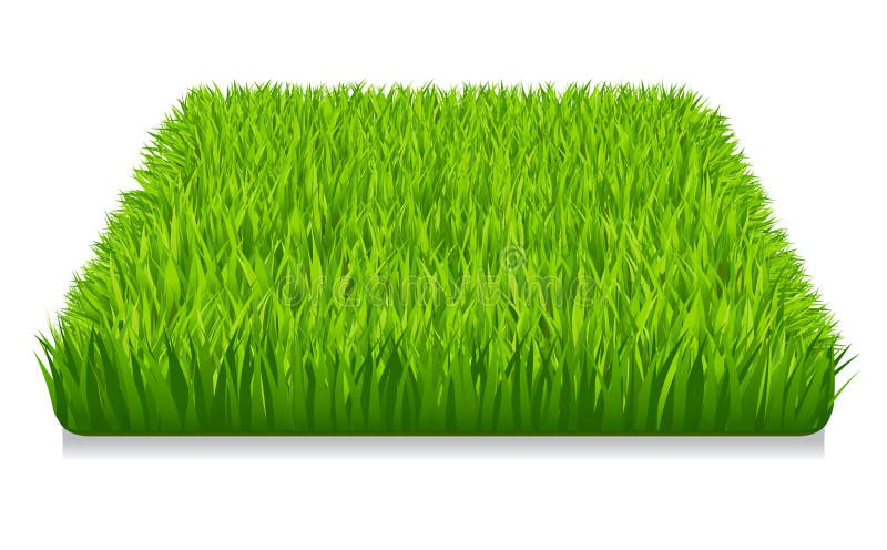 Grama verde ilustração do vetor Grama verde ilustração do vetor
