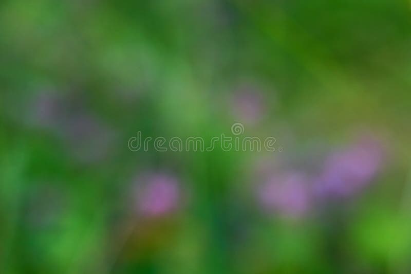 Grama verde como fundo natural desfocado. foto de stock royalty free