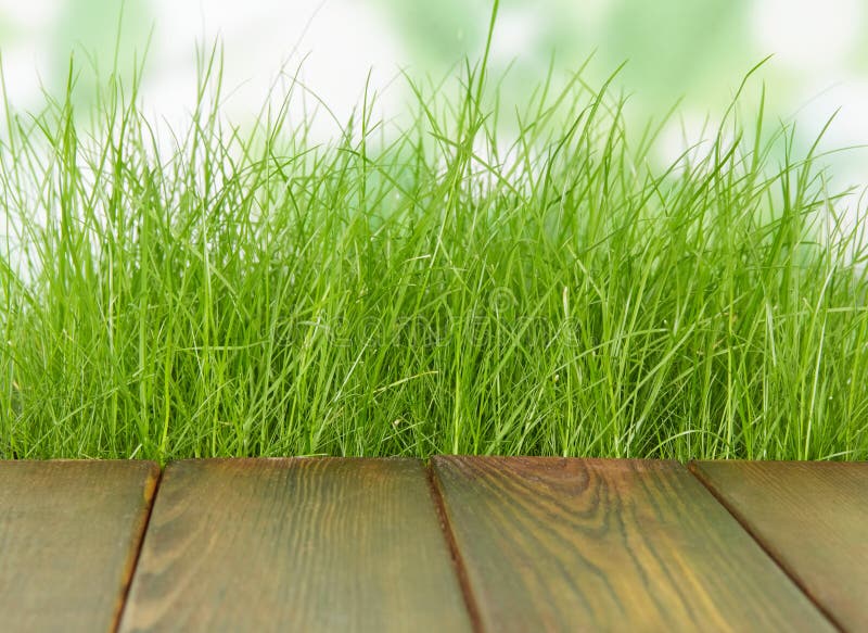 Relva verde-primavera fresca com chão de madeira fotografia de stock royalty free