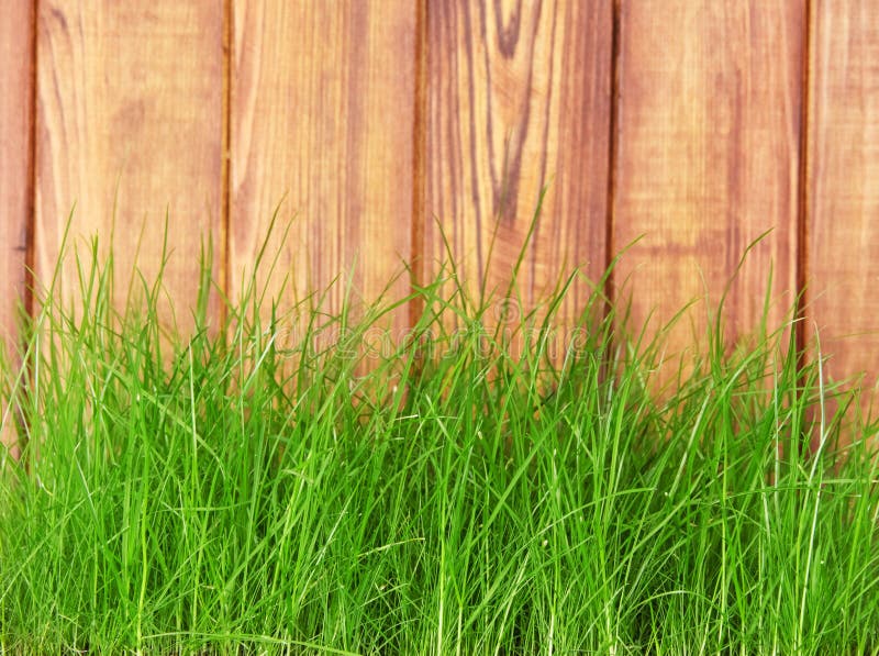 Grama verde da mola fresca sobre a cerca de madeira fotografia de stock